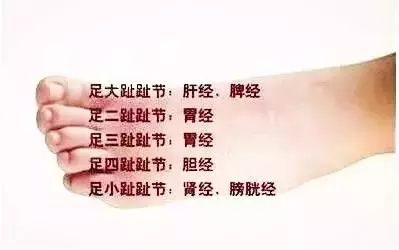 足背拉一拉,活到98!老中醫絕學,比按摩還有效!