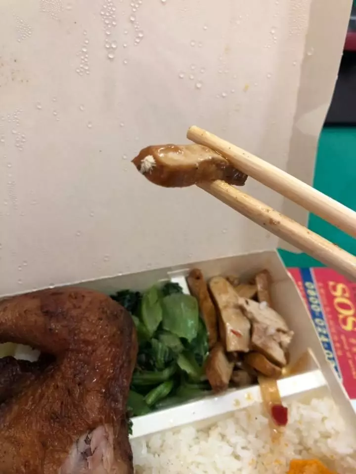 「第二次便當裡有蛆了!」中午公司團訂便當卻加了菜,便當店老闆表示「也不知道為什麼會有蛆」....