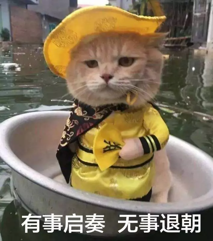 看完皇后,令妃,後宮三千佳麗的素顏照,終於知道皇上有多苦了!