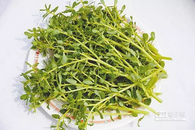 怎麼吃?最健康! 一張圖告訴你! 一定要收藏!