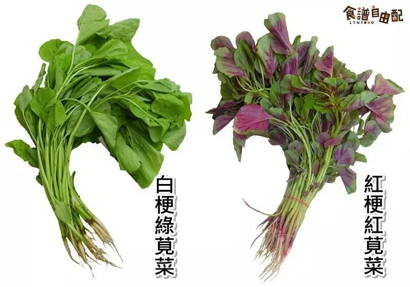 怎麼吃?最健康! 一張圖告訴你! 一定要收藏!
