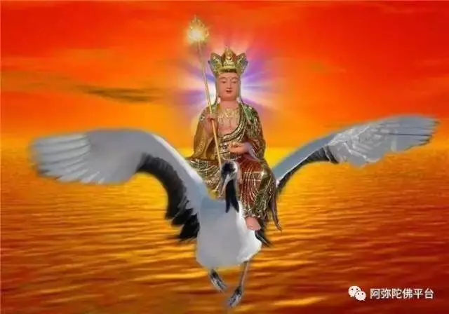 凡這種夢境,都是過去父母眷屬,在惡趣未出離