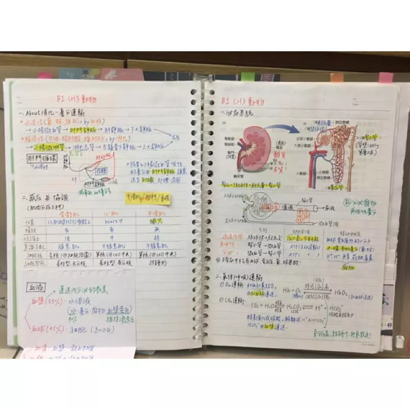 北一女學霸出售滿級分筆記! 濃縮精華490元百人瘋搶