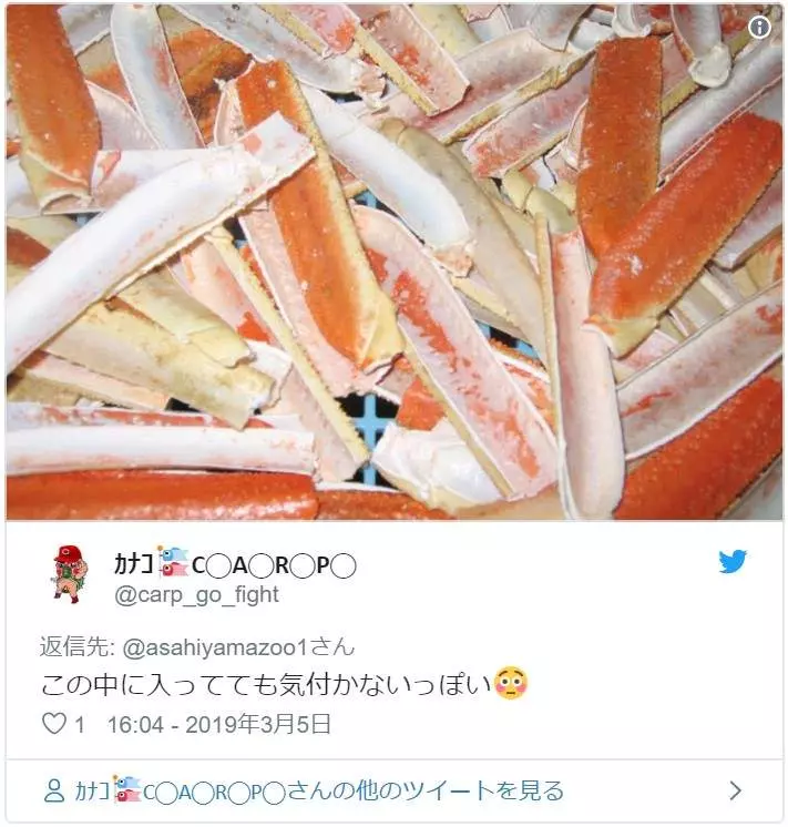 驚人事實!國王企鵝每年「嘴都會掉下來」 動物園:搜集滿滿一盒