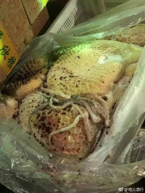 名校被揭!給孩子吃腐肉霉食!小學生長期腹瀉便血!家長包圍學校,防變質食材被運出滅證!