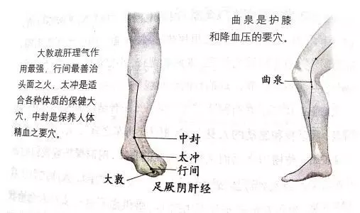 【每日一穴:曲泉穴】