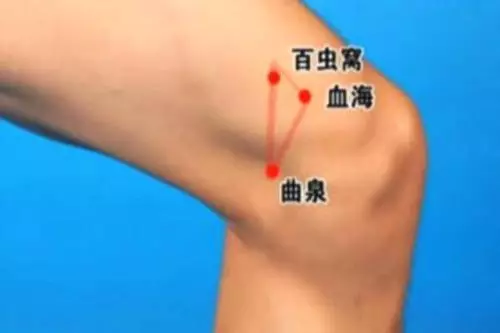 【每日一穴:曲泉穴】