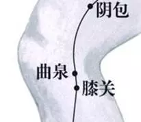 【每日一穴:曲泉穴】