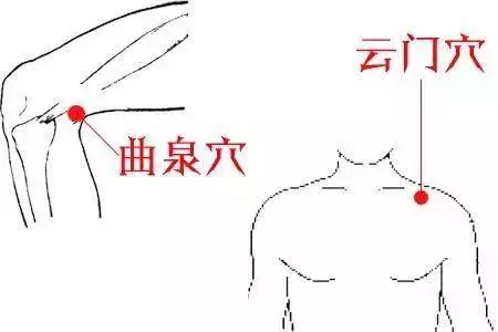 【每日一穴:曲泉穴】