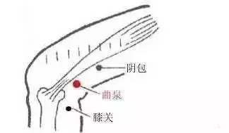 【每日一穴:曲泉穴】
