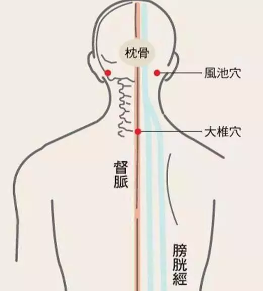 脖子僵硬像木頭?中醫:按這3個穴位,打通淤堵,比貼膏藥管用