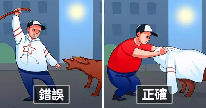 被森77汪星人盯上也別害怕 18個「學會就能脫身」的重要絕招 - 寵物星人的秘密基地