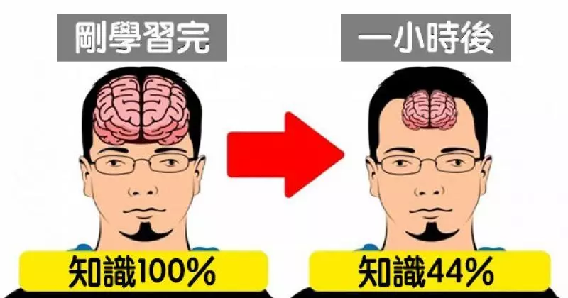 記不住東西是因為用錯方法 12個「馬上改善學習效率」的記憶法 XD