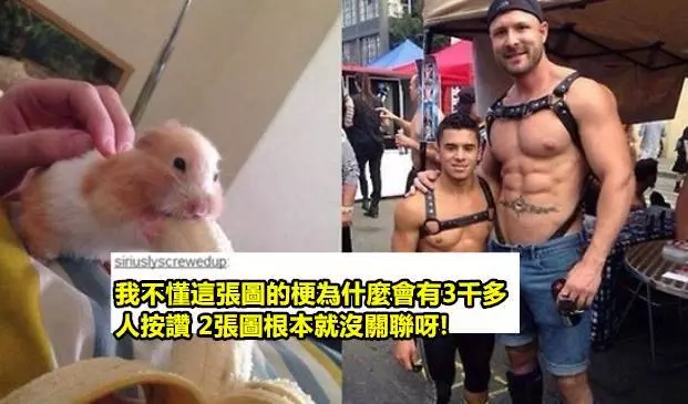 15個會讓你懷疑 留言者「單純到智商只有87的超蠢留言」! #1「在床上你最喜歡哪一個姿勢?」
