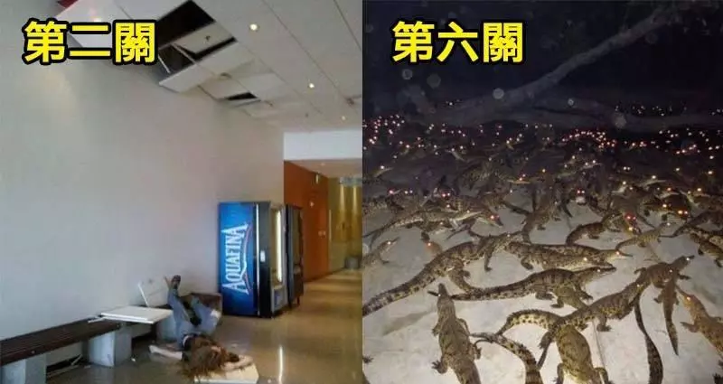 8張「每看下一張都需要更多勇氣」的戰慄照片。敢看到「最後一張」....XD