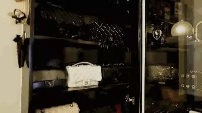 42歲「新加坡名媛」蔡欣穎,靠離婚分到的一大筆錢,買了世界上最多的愛馬仕!