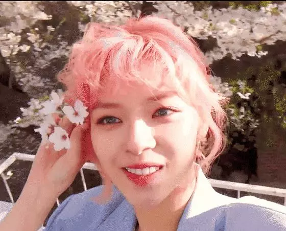 [TWICE][新聞]190314 SANA成為韓國網友票選白色情人節想送糖果的藝人第五位