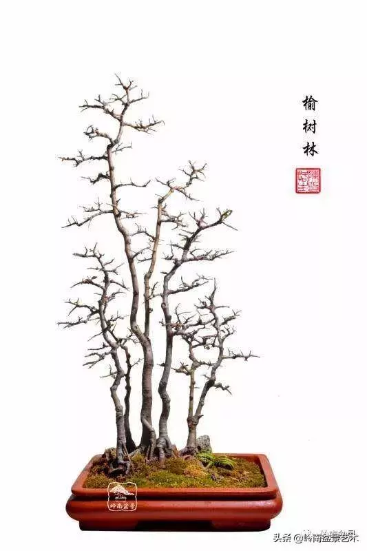 好作品是「玩」出來的!