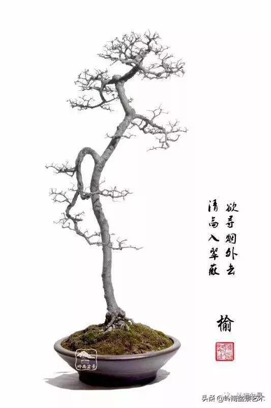 好作品是「玩」出來的!