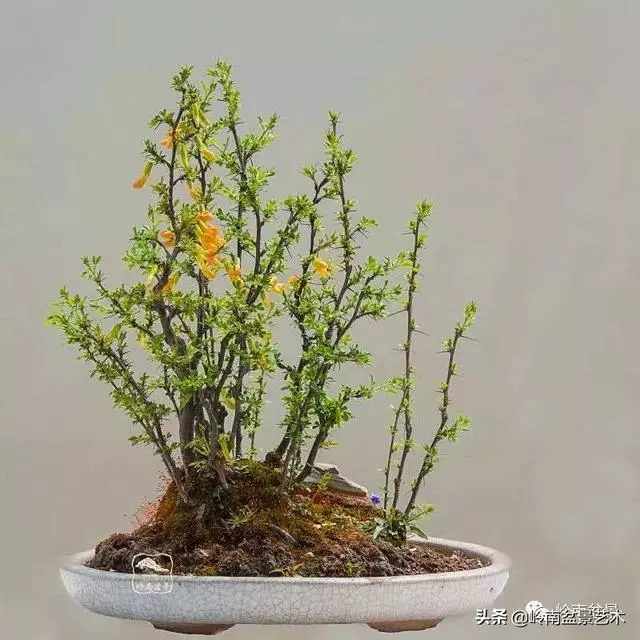 好作品是「玩」出來的!