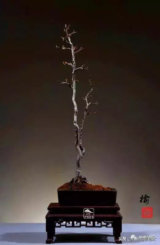 好作品是「玩」出來的!