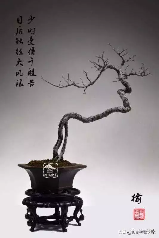 好作品是「玩」出來的!