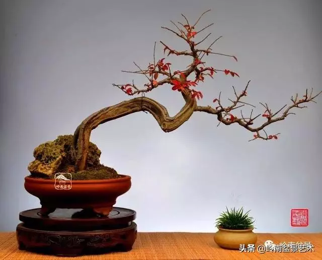 好作品是「玩」出來的!