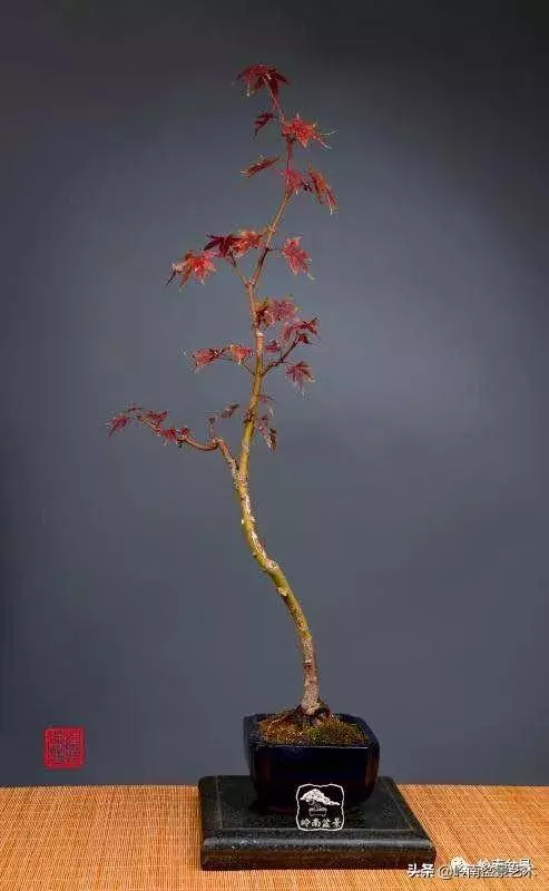 好作品是「玩」出來的!