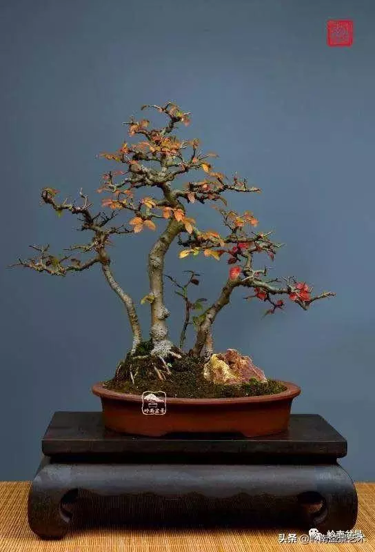 好作品是「玩」出來的!