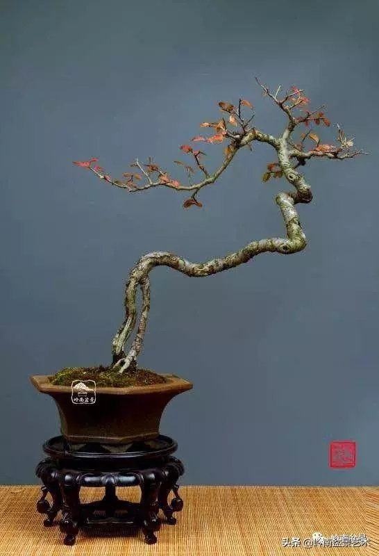 好作品是「玩」出來的!
