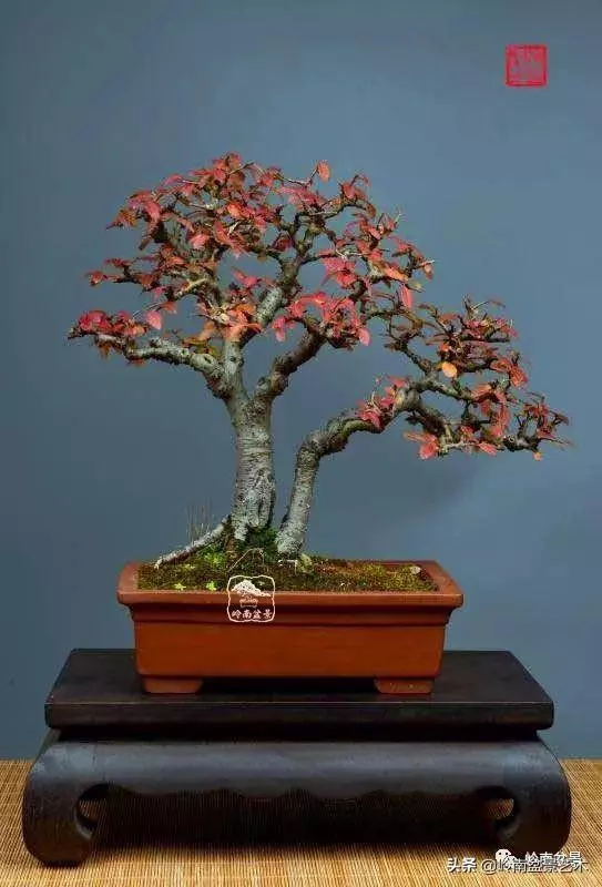 好作品是「玩」出來的!