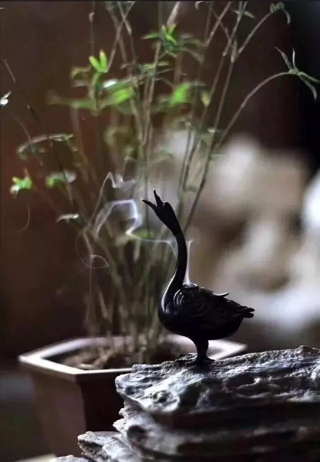 人的好運從哪裡來?(寫得真對)