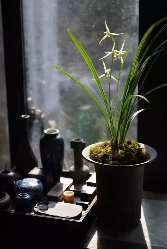 人的好運從哪裡來?(寫得真對)