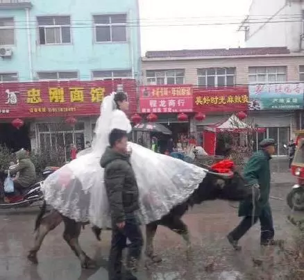 30張美女搞笑圖,保證你笑到肚疼!!美女司機掛檔的手法很嫻熟啊,亮點自己找!