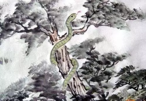 惹不起的六大生肖,3月財運旺,橫財多