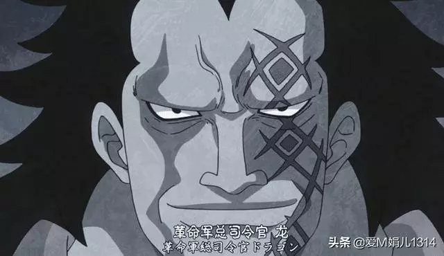 海賊王:血統遠比努力重要,這個海賊中的開掛一族一直統治著大海