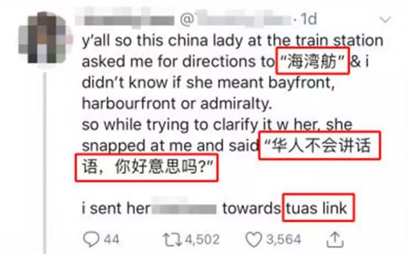 遇遊客問路解釋不清被嗆「華人不會講華語,你好意思嗎」 男子氣憤之下故意指錯路