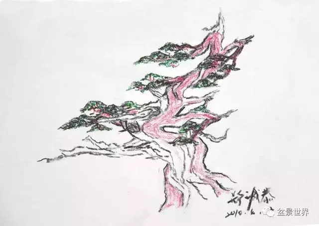 鄭誠恭真柏盆景作品欣賞,不為捨得,捨出空間,空間有美