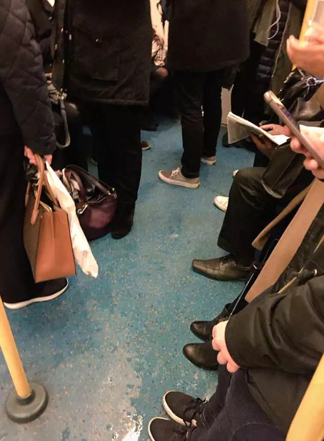 「愛心車廂」沒人要讓位!導盲犬「不小心滑倒」無助看主人:對不起我找不到...