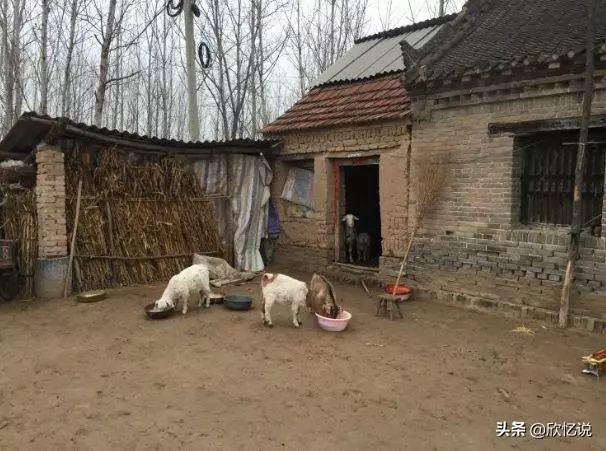 老婆每月給岳母三千給俺媽一千,母親來找俺說理,俺攆她回老家