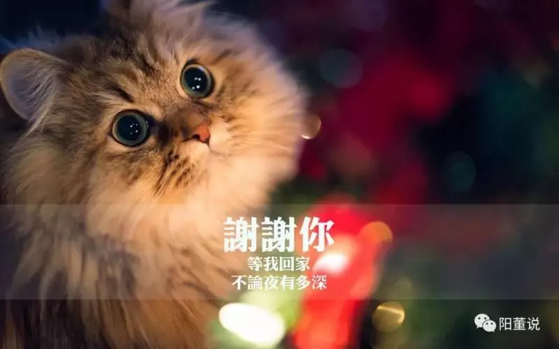 感恩生命中,所有對我好的人!