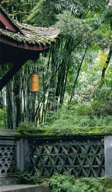 不要賭天意,不要猜人心,天意你賭不起!人心你猜不透!