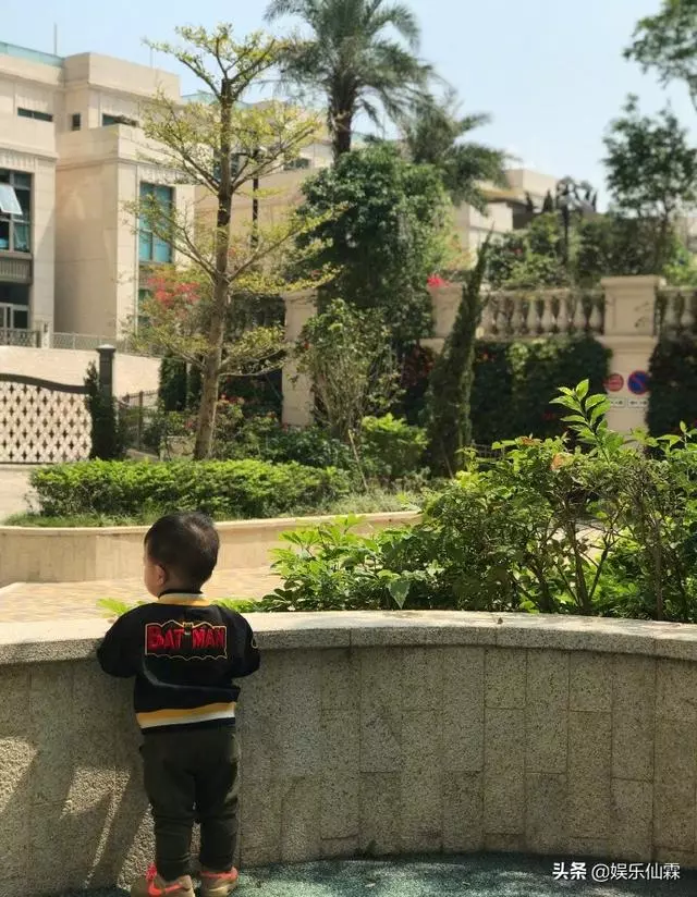 胡杏兒懷二胎不忘拍戲,曬一歲兒子背影照,充分繼承爸媽高顏值 - Marotify - 生活網