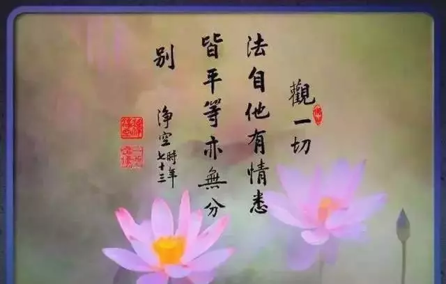 師父說:常說這兩個字,你的福氣會 越 來 越 多