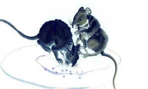3月15日開始,8生肖財運轉盛,橫財滾滾,有望中頭獎