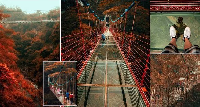 台灣南投「坪瀨琉璃光之橋」登上英國報紙,一流賞楓景點曝光!