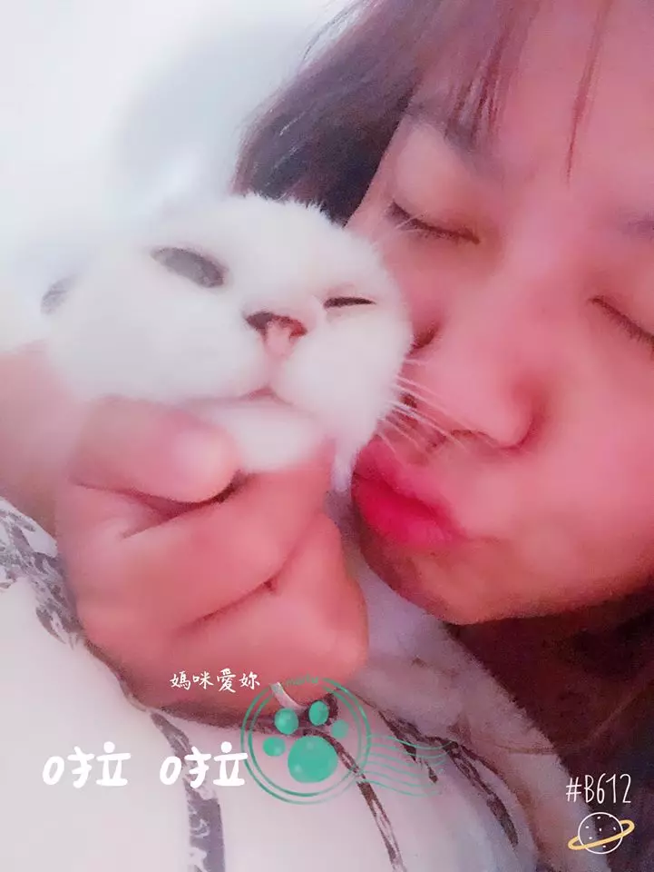 啦啦陪伴媽咪22年了,臨終道別落淚… 媽媽說:「別怕,媽咪會陪妳!」