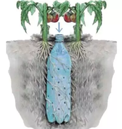 把空水瓶埋進花盆裡,再也不擔心澆水問題,廢物變成養花神器