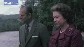 英國女王寵愛柯基70年,這次真的要告別了,再見,一輩子的老朋友