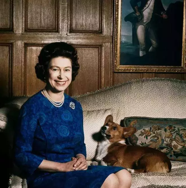 英國女王寵愛柯基70年,這次真的要告別了,再見,一輩子的老朋友